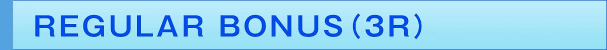 REGULAR BONUS(3R)