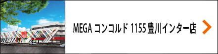 豊川インター店