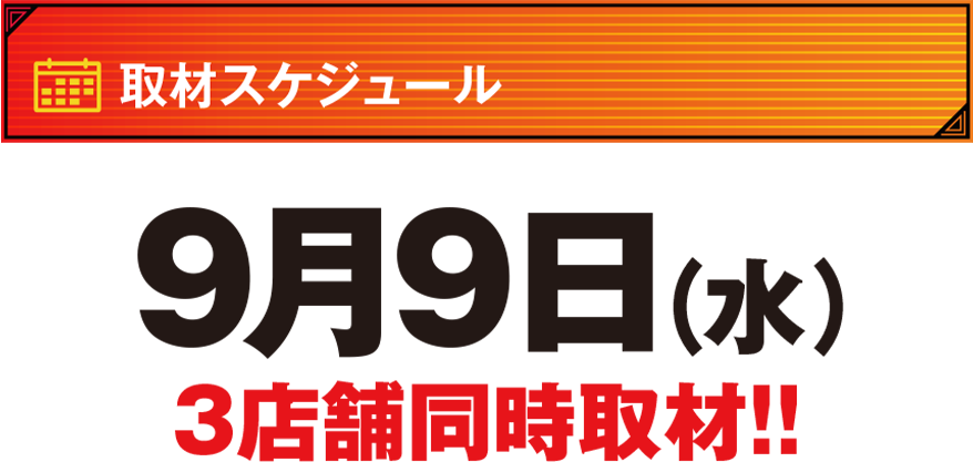 漢は黙ってミクちゃんガイア