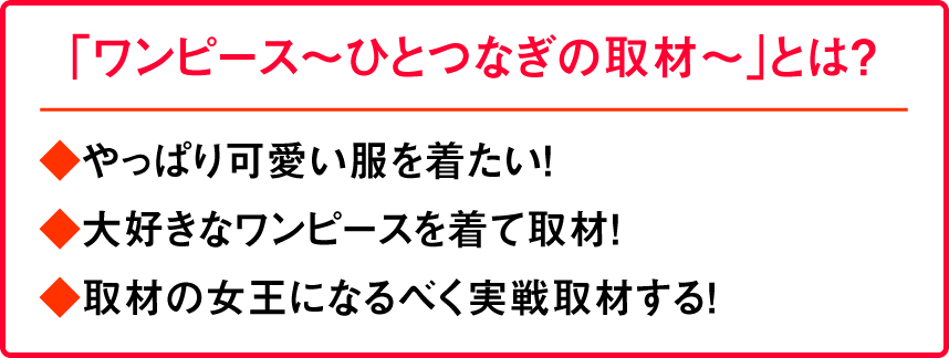 ワンピース ひとつなぎの取材